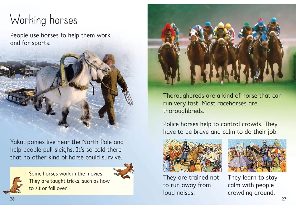Kép 4/4 - Angol könyv, Okoskönyv, Usborne - Horses and Ponies