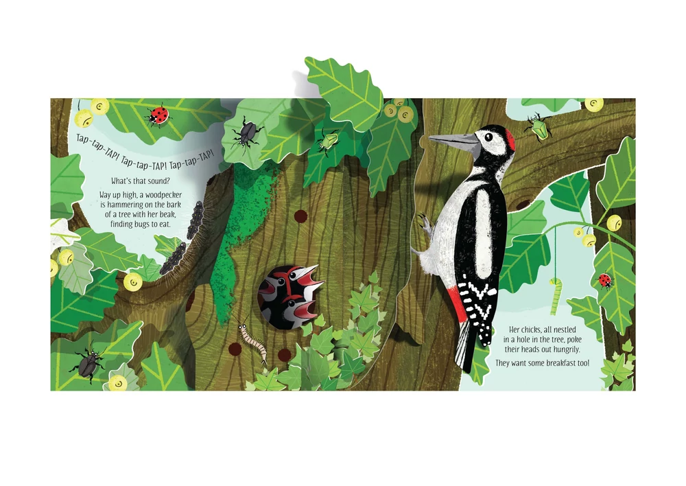 Kép 3/4 - könyv gyerekkönyv angol könyv usborne okoskönyv gyerek 9781474972086 Pop-up Nature