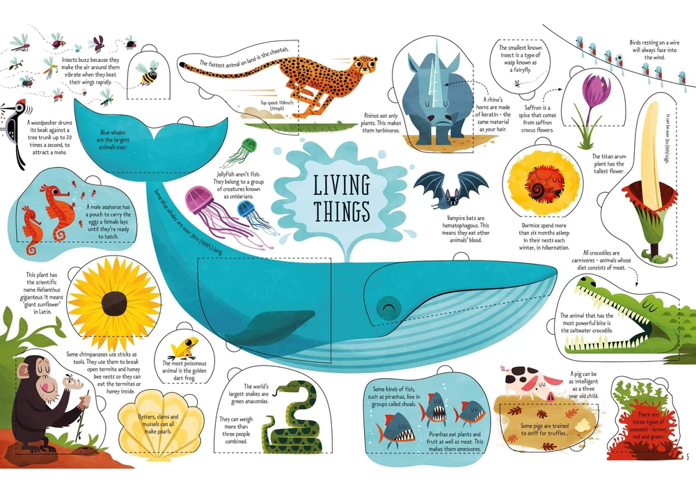 Kép 2/4 - okoskonyv, angol konyv, olvasas, angol gyerekkonyv, usborne, angol A2