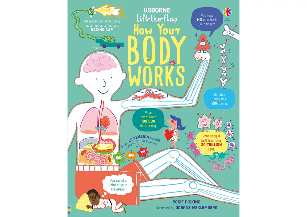 Kép 1/5 - LTF How Your Body Works 9781474950732 Okoskönyv Angol gyerekkönyv és ifjúsági könyv Usborne