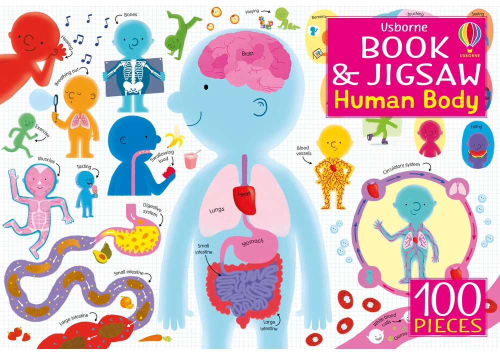 Kép 1/6 - Usborne Book and Jigsaw Human Body 9781474985291 Okoskönyv Angol gyerekkönyv és ifjúsági könyv Usborne