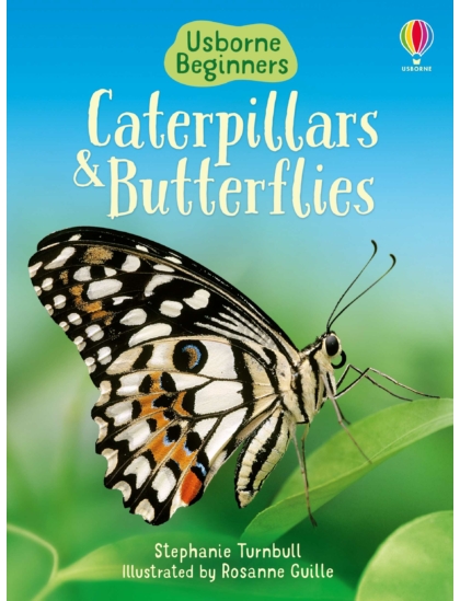 Caterpillars and Butterflies 9780746074473 Okoskönyv Angol gyerekkönyv és ifjúsági könyv Usborne