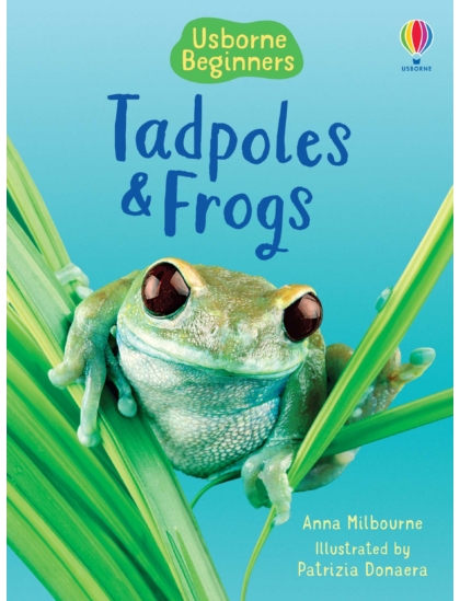 Tadpoles and Frogs 9780746074558 Okoskönyv Angol gyerekkönyv és ifjúsági könyv Usborne