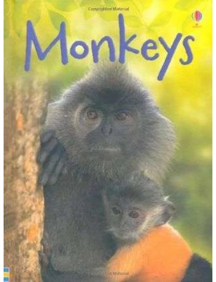 Monkey 9781409523079 Okoskönyv Angol gyerekkönyv és ifjúsági könyv Usborne