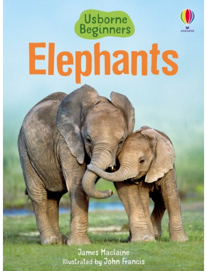 Elephants 9781409530497 Okoskönyv Angol gyerekkönyv és ifjúsági könyv Usborne
