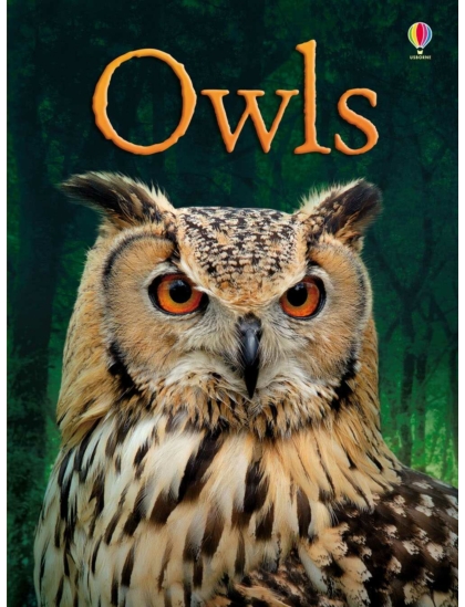 Owls 9781409530664 Okoskönyv Angol gyerekkönyv és ifjúsági könyv Usborne