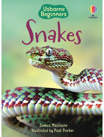Snakes 9781409565253 Okoskönyv Angol gyerekkönyv és ifjúsági könyv Usborne