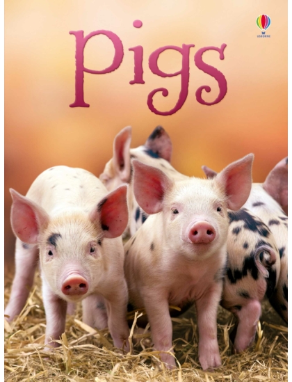 Pigs 9781409581611 Okoskönyv Angol gyerekkönyv és ifjúsági könyv Usborne