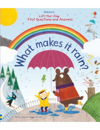 LTF First Q&A What makes it rain? 9781409598817 Okoskönyv Angol gyerekkönyv és ifjúsági könyv Usborne