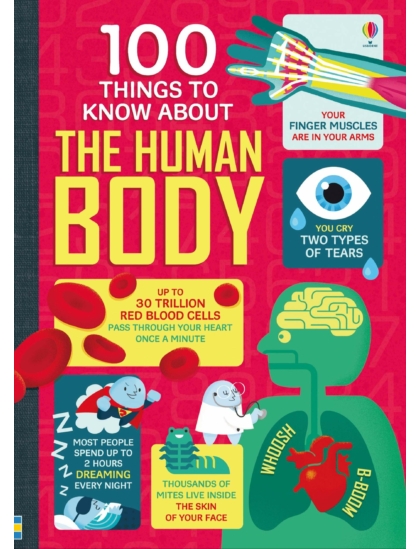100 Things to Know About the Human Body 9781474916158 Okoskönyv Angol gyerekkönyv és ifjúsági könyv Usborne