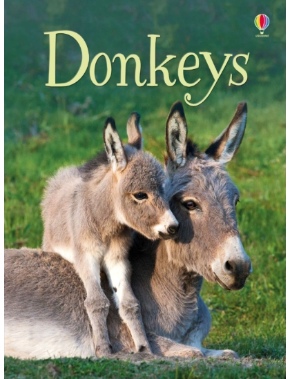 Donkeys 9781474921817 Okoskönyv Angol gyerekkönyv és ifjúsági könyv Usborne