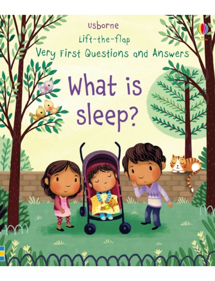 LTF VF Q&A What is Sleep? 9781474940108 Okoskönyv Angol gyerekkönyv és ifjúsági könyv Usborne