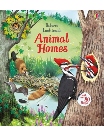 Look Inside Animal Homes 9781474942928 Okoskönyv Angol gyerekkönyv és ifjúsági könyv Usborne