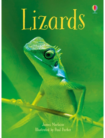 Lizards 9781474950459 Okoskönyv Angol gyerekkönyv és ifjúsági könyv Usborne