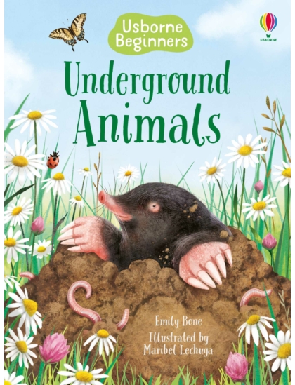 Underground Animals 9781474979344 Okoskönyv Angol gyerekkönyv és ifjúsági könyv Usborne